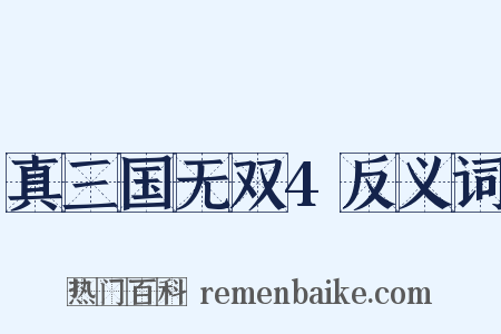 真三国无双4反义词是什么意思的图片